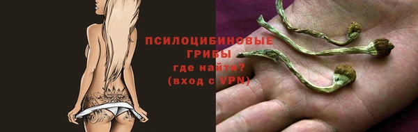 МДПВ Армянск