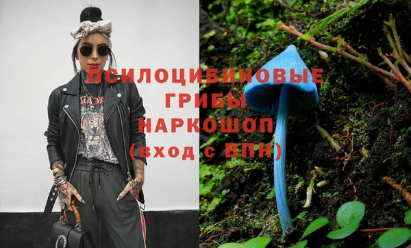 МДПВ Армянск