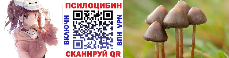 Псилоцибиновые грибы Cubensis наркота МЕГА маркетплейс Арск