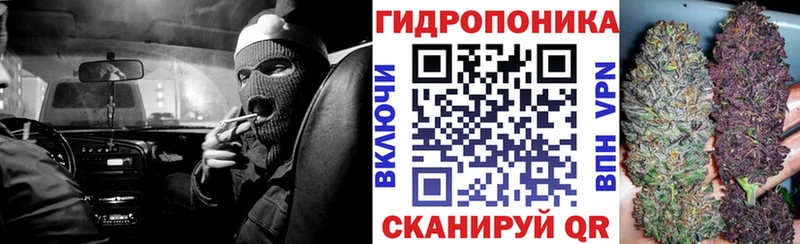 darknet состав  Арск  Шишки марихуана Amnesia  мега как зайти 